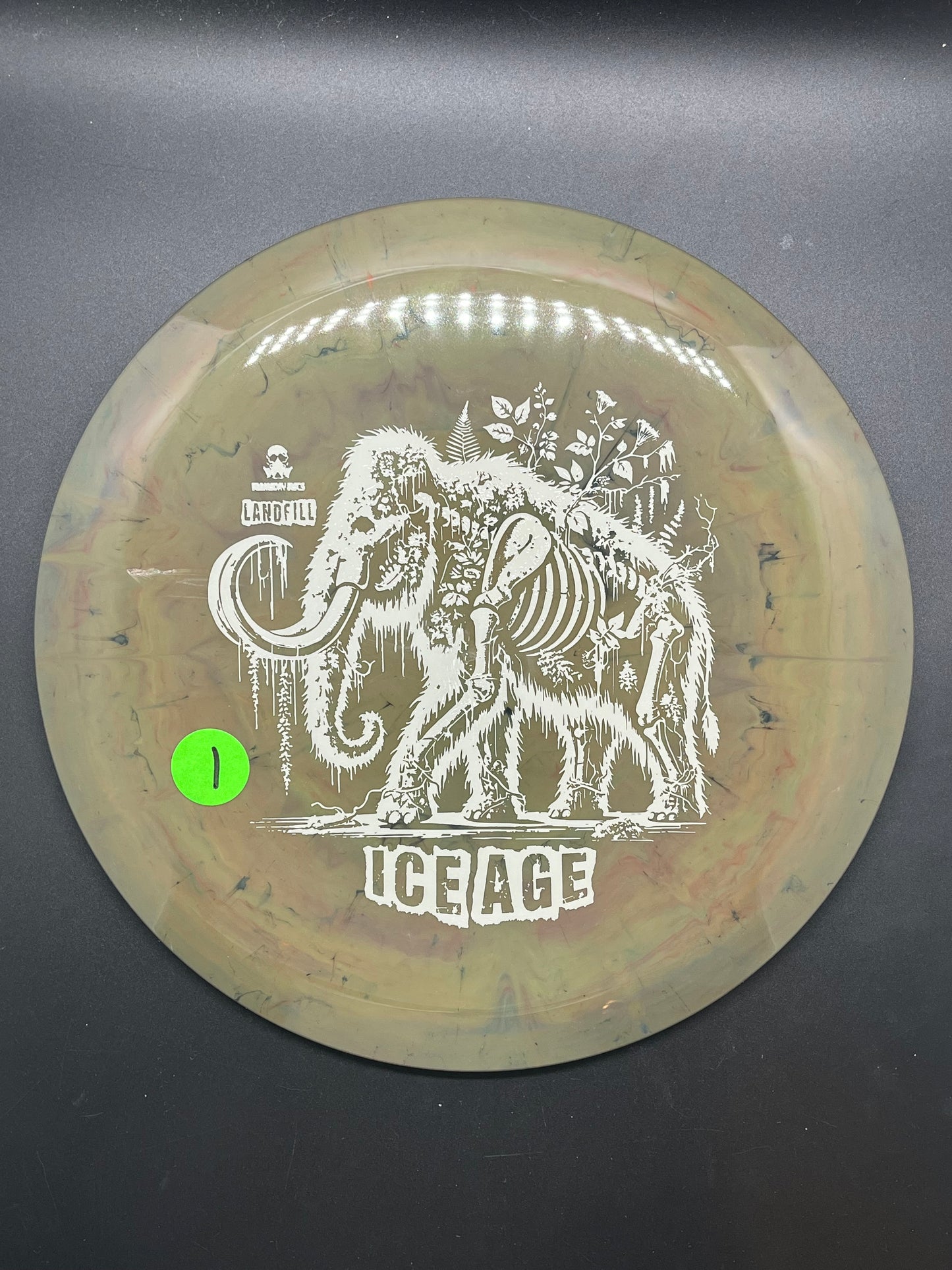 Doomsday Discs Landfill Ice Age