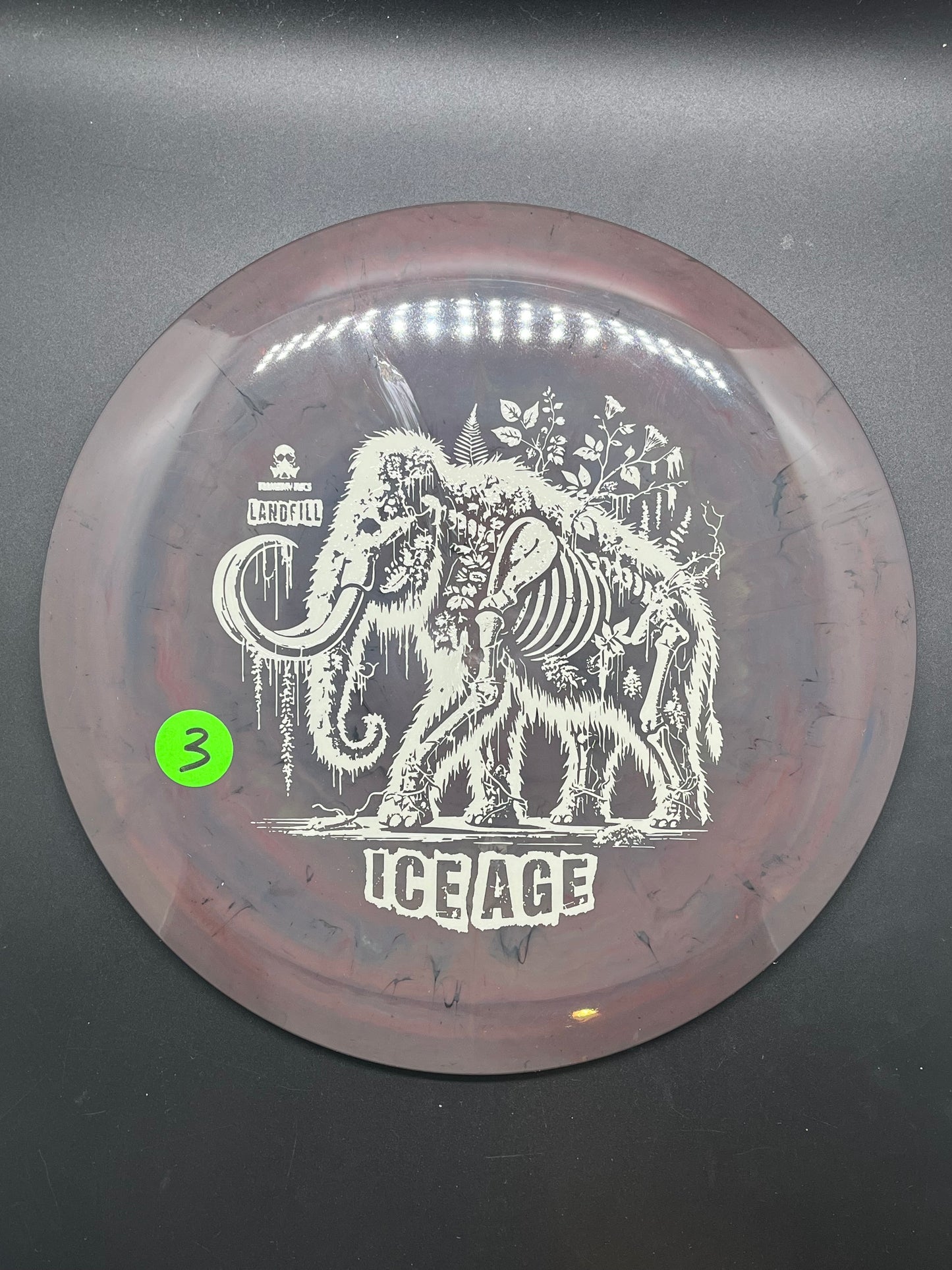 Doomsday Discs Landfill Ice Age